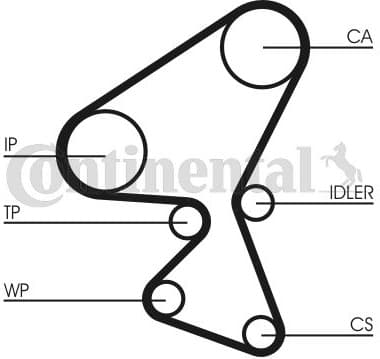 Water Pump & Timing Belt Kit CT1092WP1 - image 2