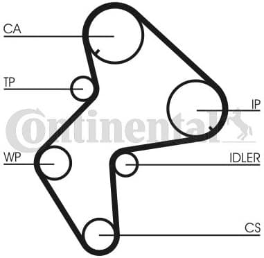 Timing Belt CT772 - image 3