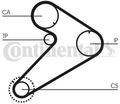 Timing Belt CT921 - image 3