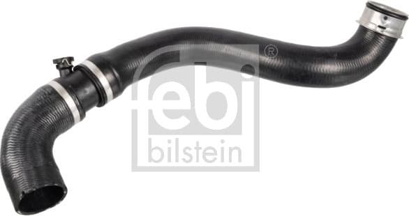 Radiator Hose 172431