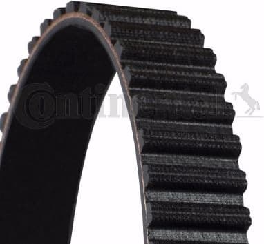 Timing Belt CT955 - image 2