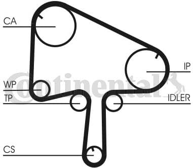 Timing Belt CT1145 - image 2