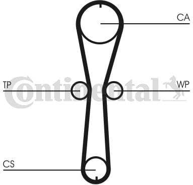 Water Pump & Timing Belt Kit CT915WP2 - image 2