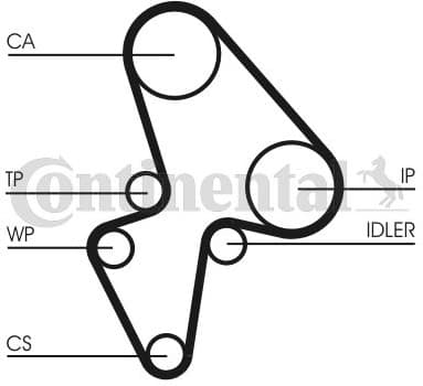 Timing Belt CT906 - image 3