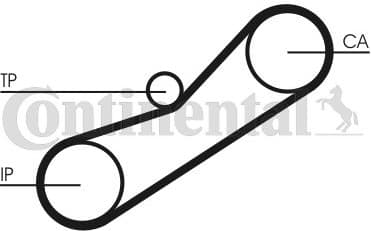 Timing Belt CT1042 - image 3
