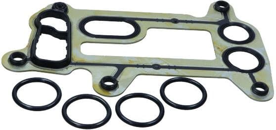 Gasket, oil cooler 70-0152