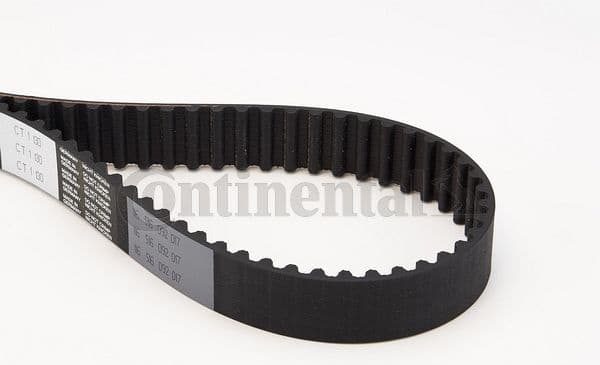Timing Belt CT1130 - image 3