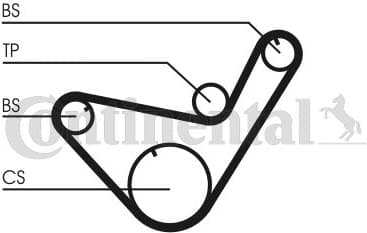 Timing Belt CT714 - image 3