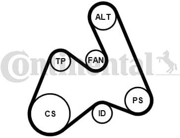 V-ribbed Belt Set 5PK1592K1 - image 2