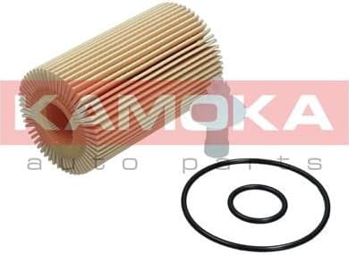 Oil Filter F116901