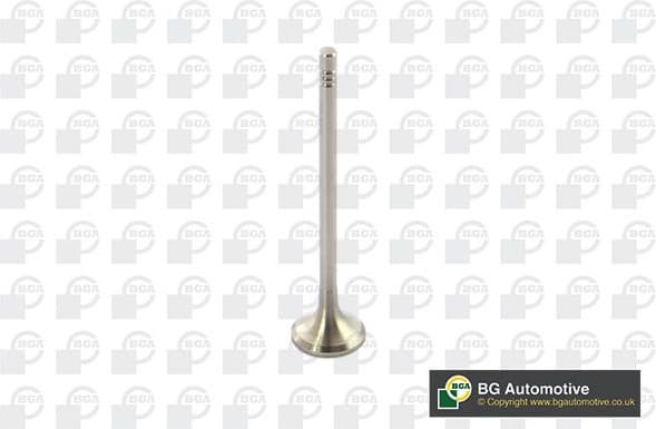 Exhaust Valve V591501