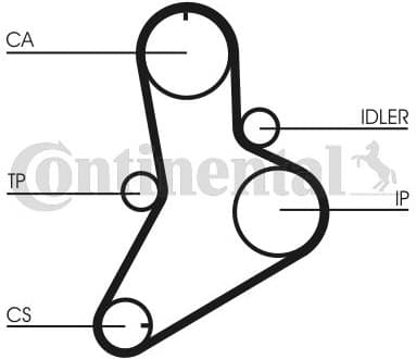 Timing Belt CT622 - image 3