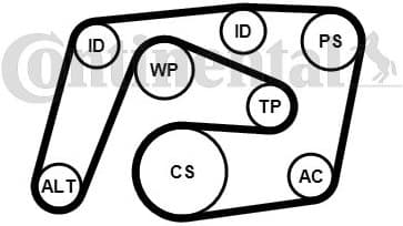 V-Ribbed Belt Set 6PK2260K1 - image 3