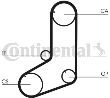 Timing Belt CT801 - image 4