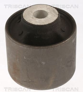 Mounting, control/trailing arm 8500 81803