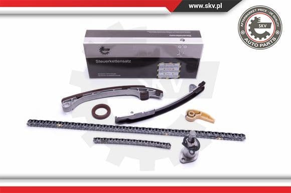 Timing Chain Kit 21SKV198
