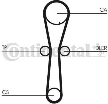 Timing Belt CT954 - image 3