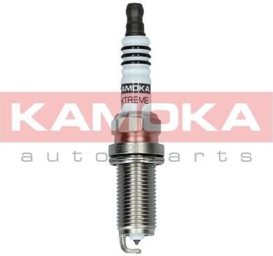 Spark Plug 7090033