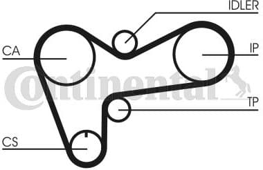 Timing Belt CT508 - image 2