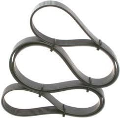 V-ribbed Belt 1987945986 - image 4