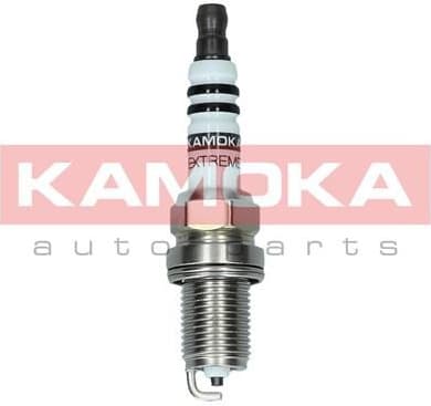 Spark Plug 7090508