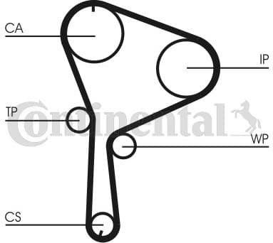 Water Pump & Timing Belt Kit CT1064WP2 - image 2