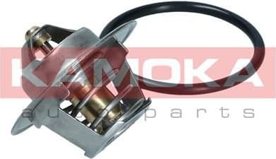 Thermostat, coolant 7710063 - image 4