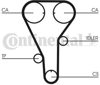 Timing Belt CT972 - image 3
