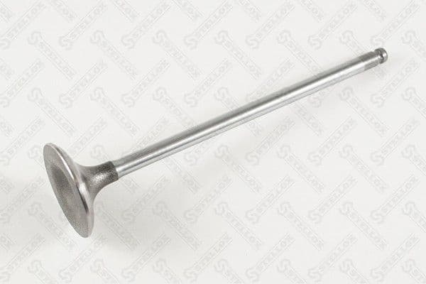Intake Valve 01-24372-SX