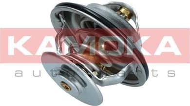 Thermostat, coolant 7710048