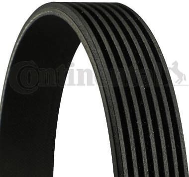 V-ribbed Belt 7PK1795
