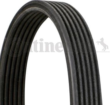 V-ribbed Belt 6DPK1195