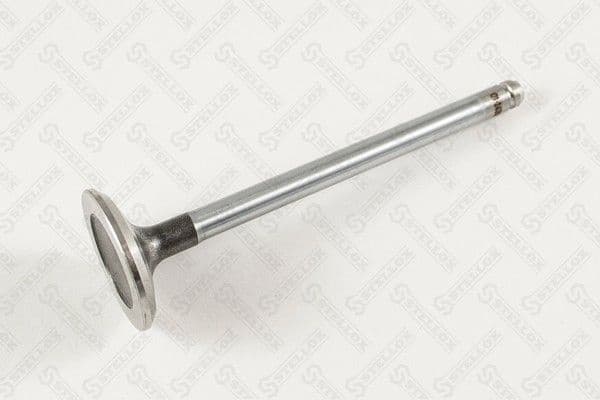 Exhaust Valve 01-24307-SX