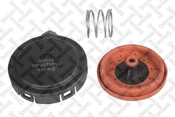 EGR Valve 01-25257-SX