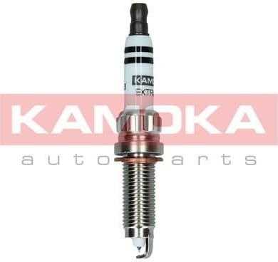 Spark Plug 7100063