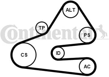 V-ribbed Belt Set 6PK1613K1 - image 2
