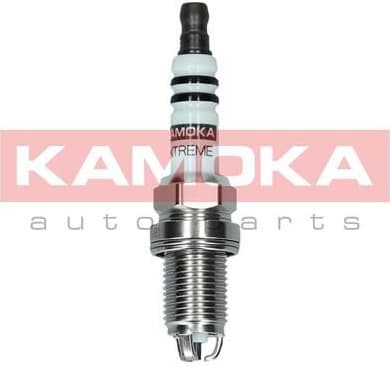 Spark Plug 7100508