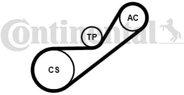 V-ribbed Belt Set 4PK925K1 - image 2