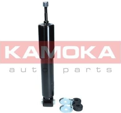 Shock absorber front 2000856
