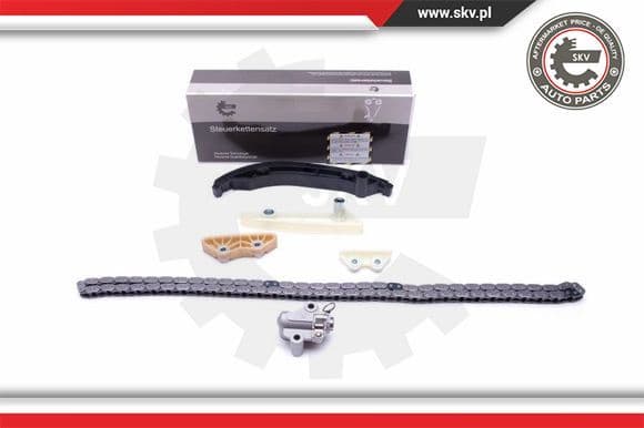 Timing Chain Kit 21SKV124
