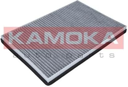 Filter, cabin air F501501 - image 2