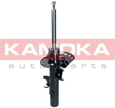 Shock absorber front 2000570