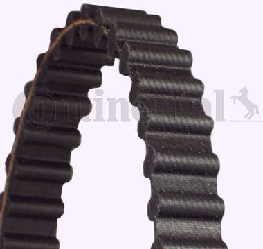 Timing Belt CT925 - image 2