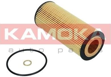 Oil Filter F106101 - image 6