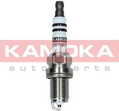 Spark Plug 7090507