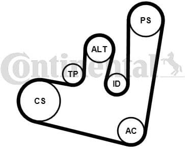 V-ribbed Belt Set 6PK1660K1 - image 2