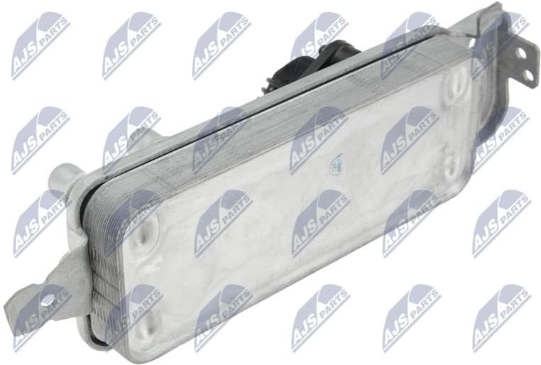 CCL-BM-041 - image 2