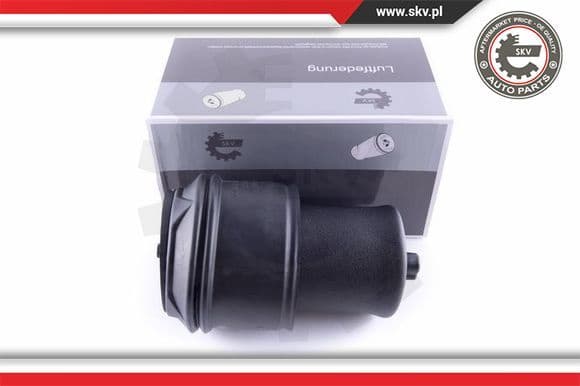 Air Spring, suspension 58SKV022