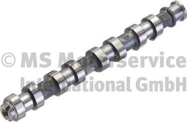 Camshaft 50006151