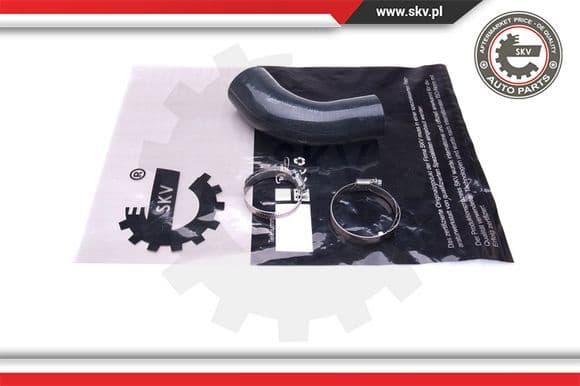 Charge Air Hose 43SKV281